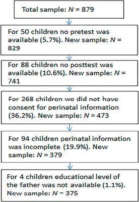 Differential Efficacy of Digital Scaffolding of Numeracy Skills in Kindergartners With Mild Perinatal Aversities